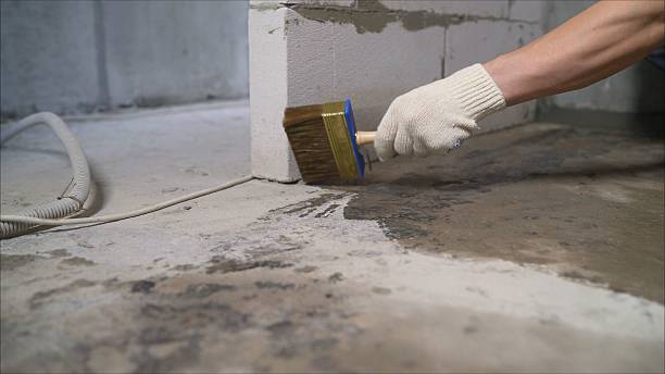 SJ Waterproofing Pros Waterproofing coverage map for New Haven, MI and surrounding area
